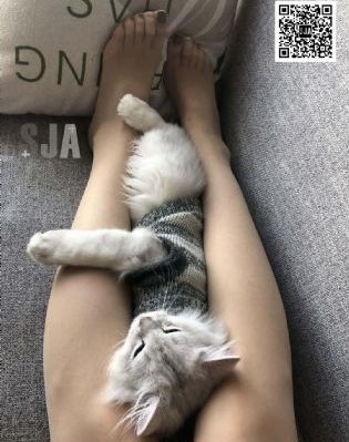 末路皇妃_720高清视频播放